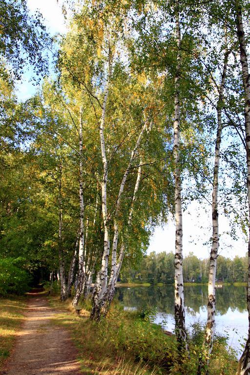 Hotel Am Springhorstsee Großburgwedel Εξωτερικό φωτογραφία