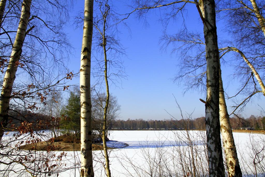 Hotel Am Springhorstsee Großburgwedel Εξωτερικό φωτογραφία